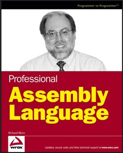 Professional Assembly Language